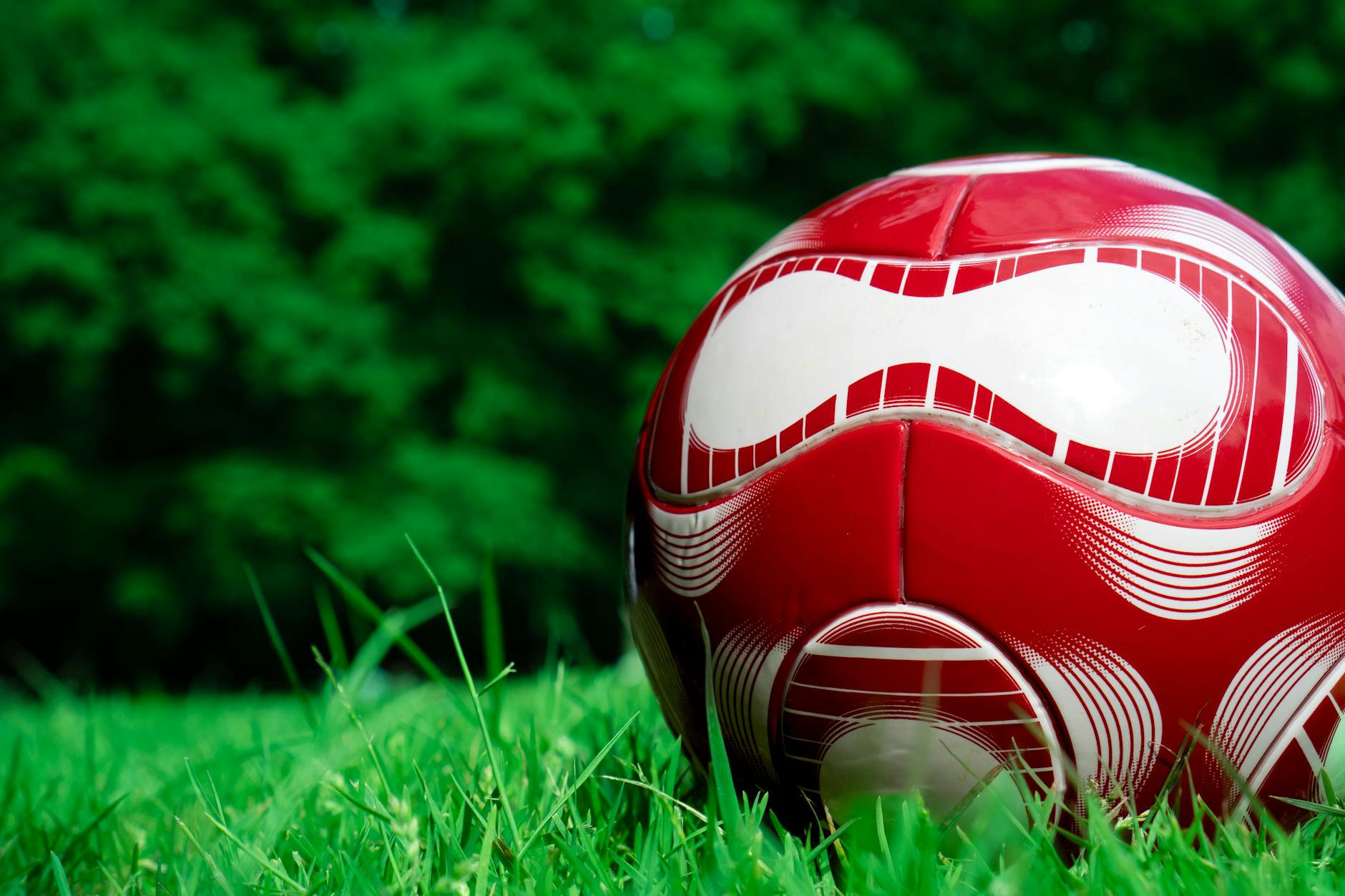 Napoli-Torino: le probabili formazioni di Conte e D'Aversa per l'anticipo di Serie A