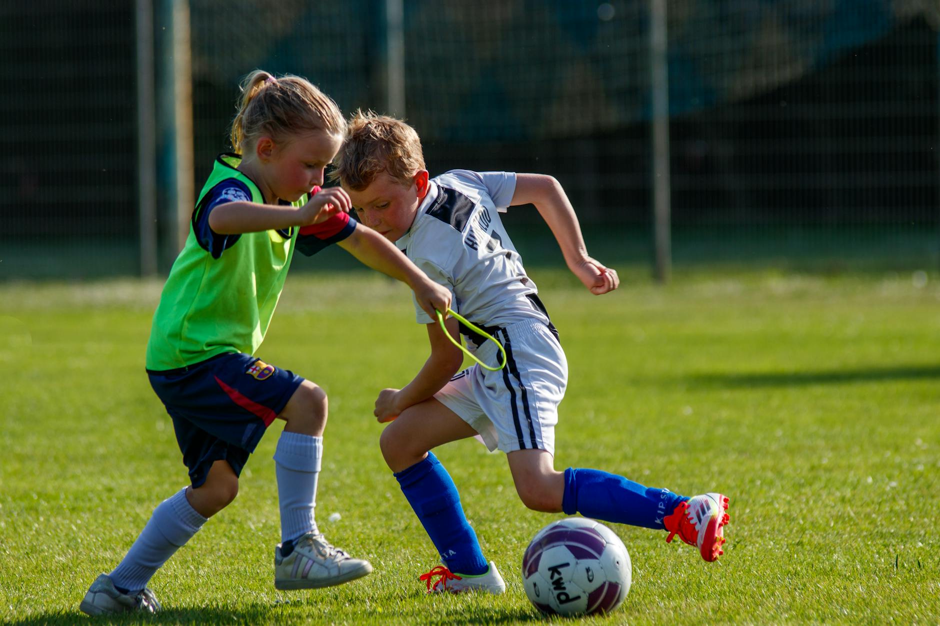 Serse Cosmi torna in panchina: nuovo allenatore della Salernitana in Serie C
