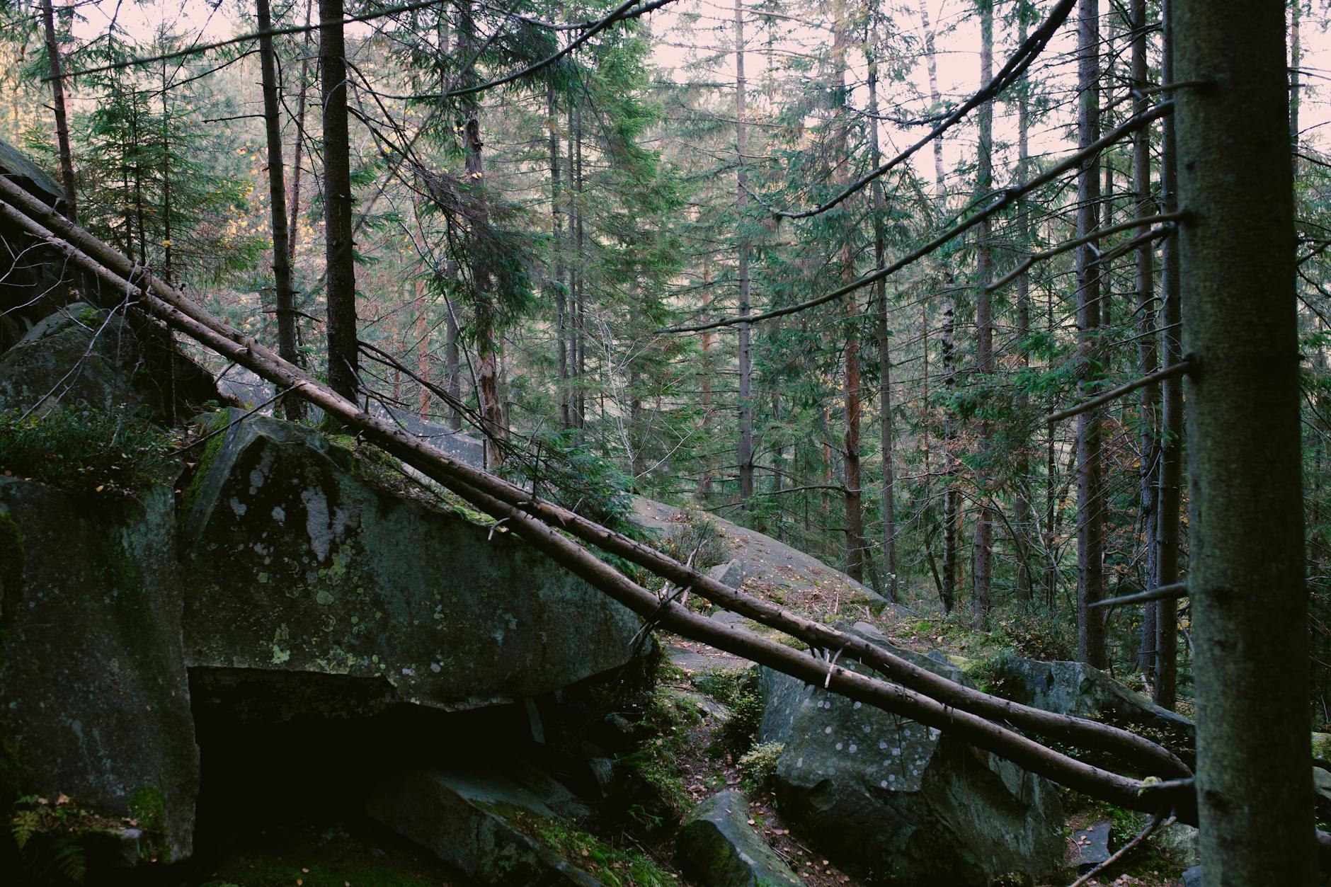 Lazio-Genoa: probabili formazioni e curiosità prima dell'anticipo di Serie A