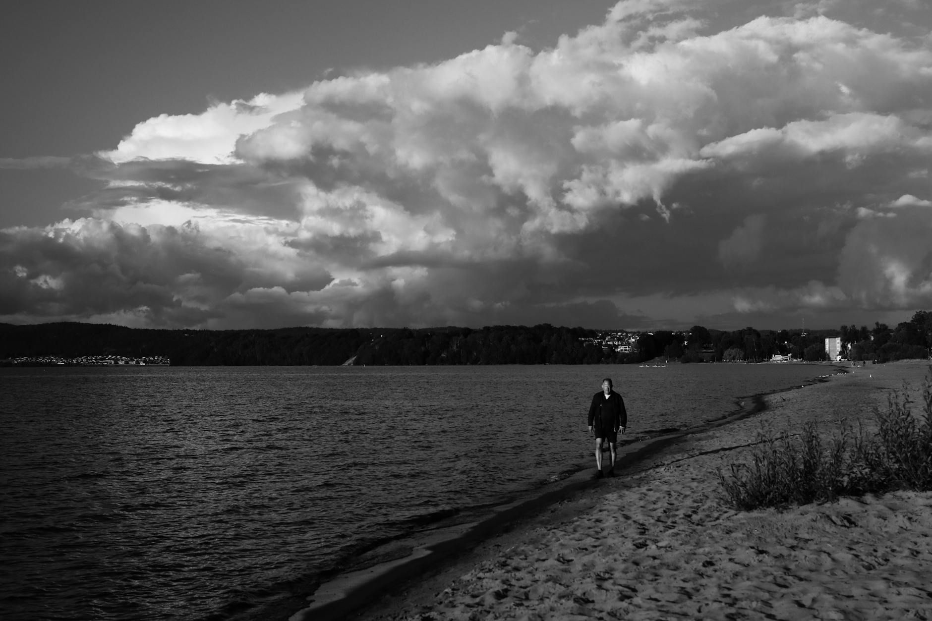 Serie A: Squalifiche e Ammende, Bastoni e Locatelli fermi un turno