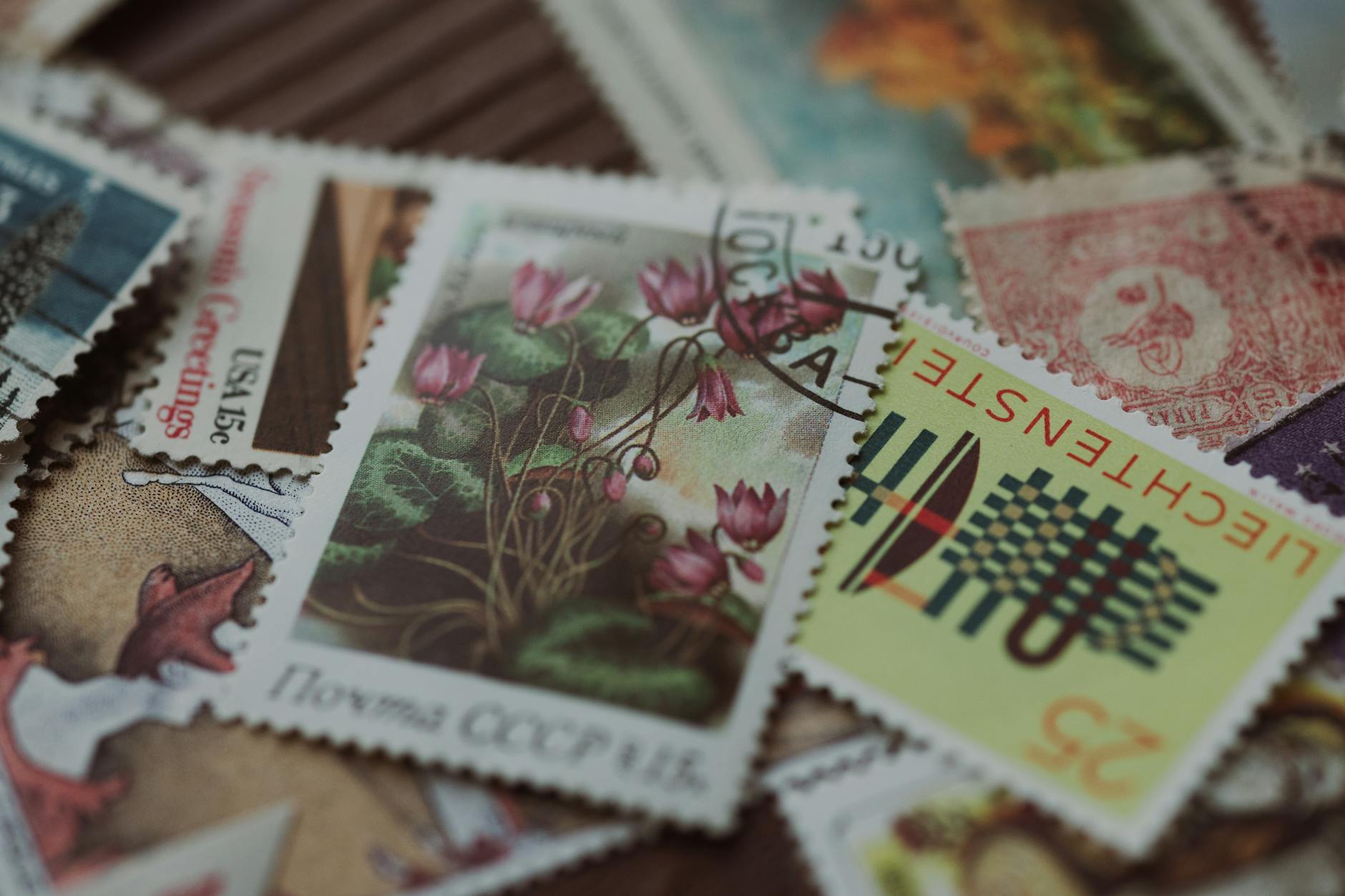 Formazioni Ufficiali Juventus-Galatasaray: Spalletti e Buruk schierano il 4-3-3 e il 4-2-3-1 per ...