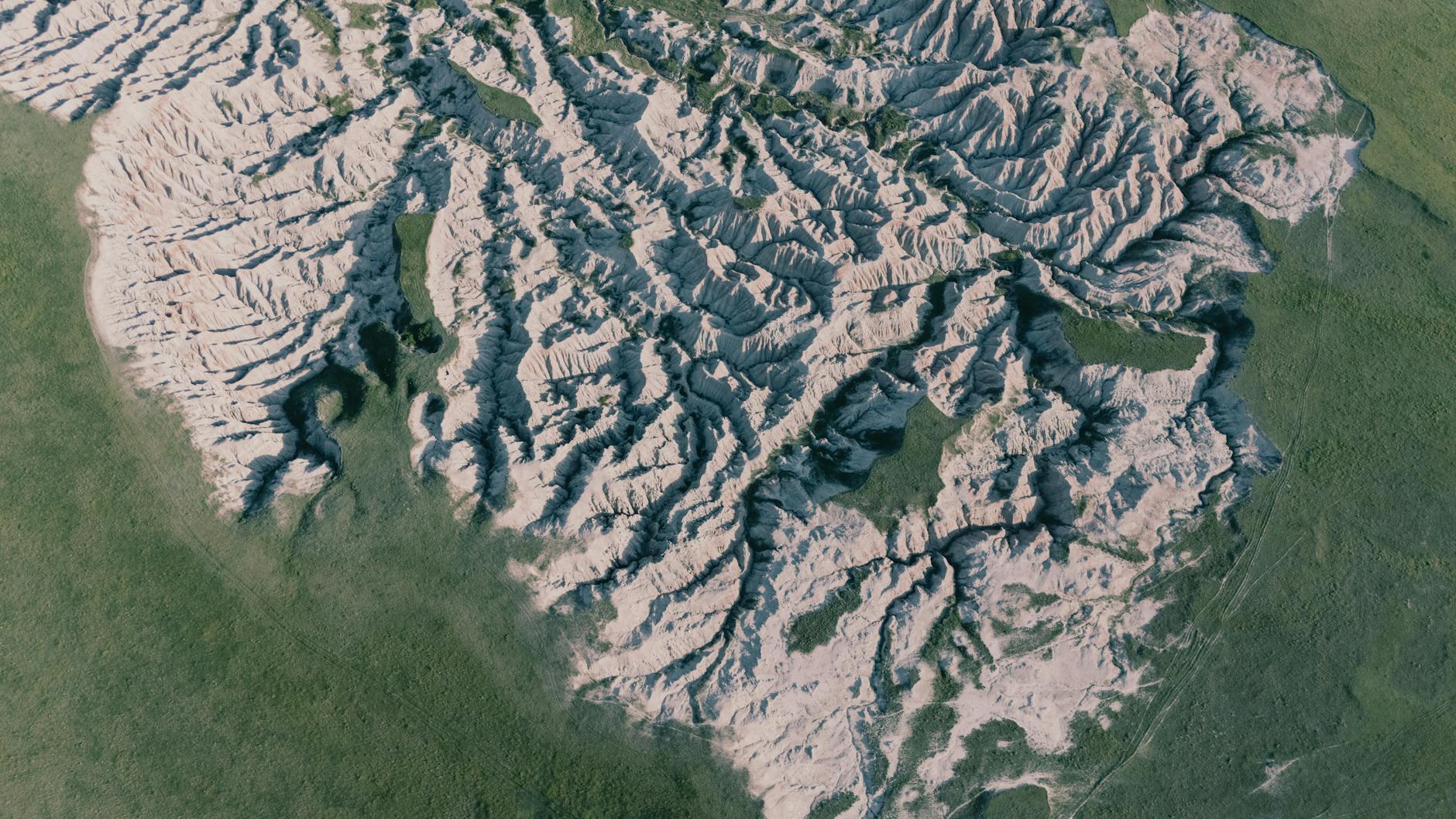 Bologna e Roma pronte per il duello in Europa League: formazioni ufficiali e assenze significative