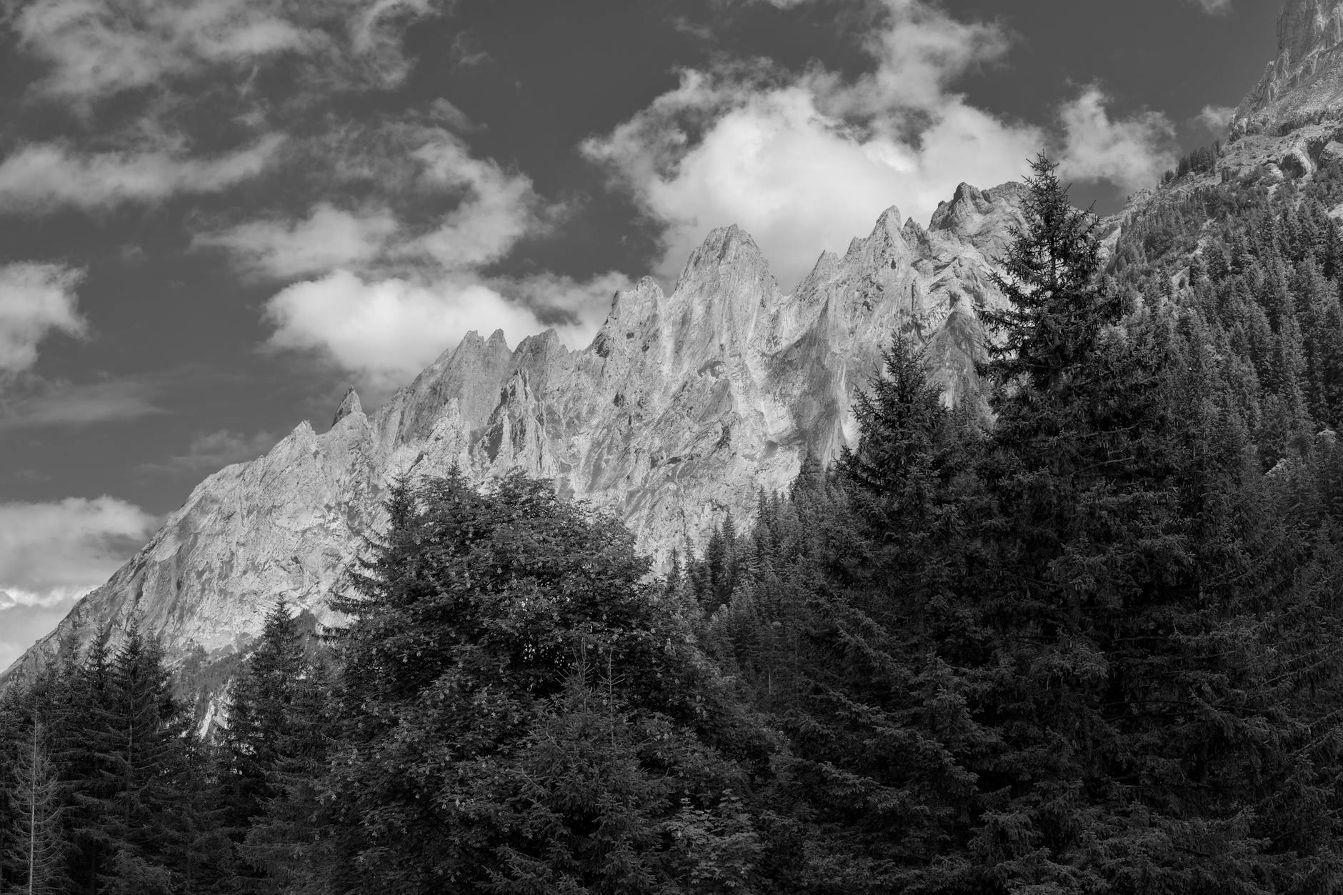 Monaco, esclusione di Pogba dalla lista UEFA: il DS Scuro parla di infortunio lungo