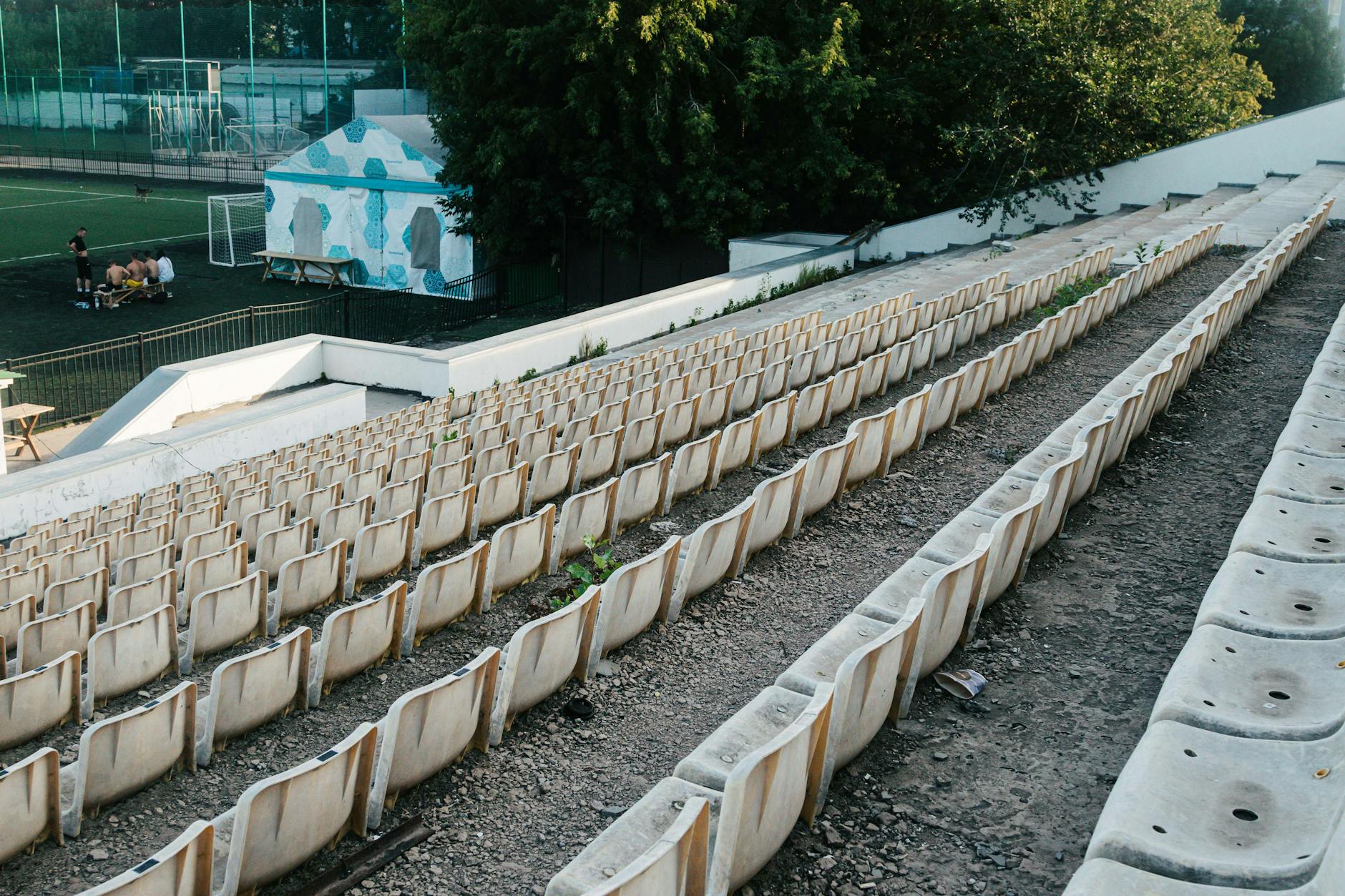 Torino-Bologna: formazioni ufficiali e ultime novità per la sfida di Serie A