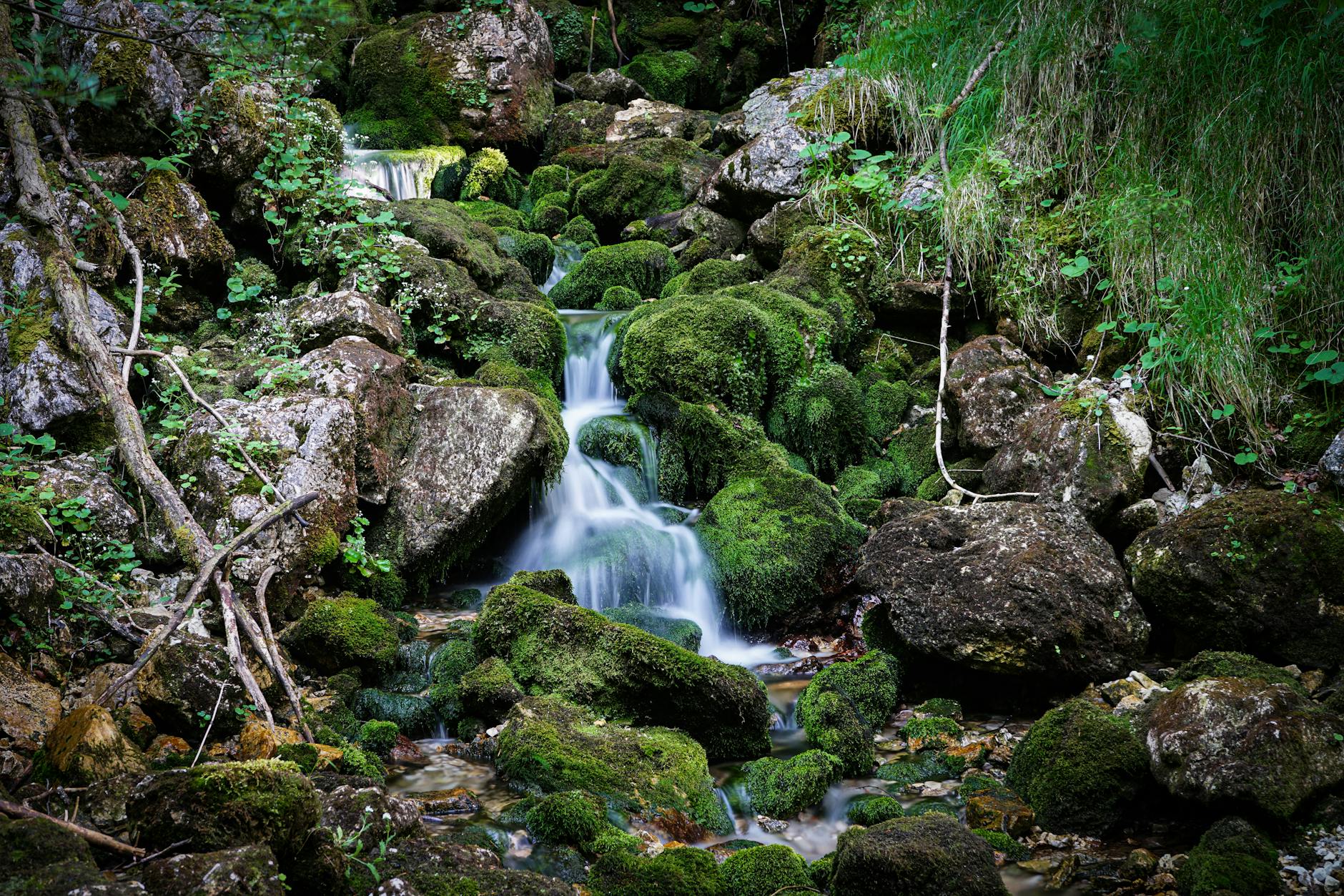 Hellas Verona: infortunio di Bella-Kotchap e Slotsager, le loro condizioni ufficiali