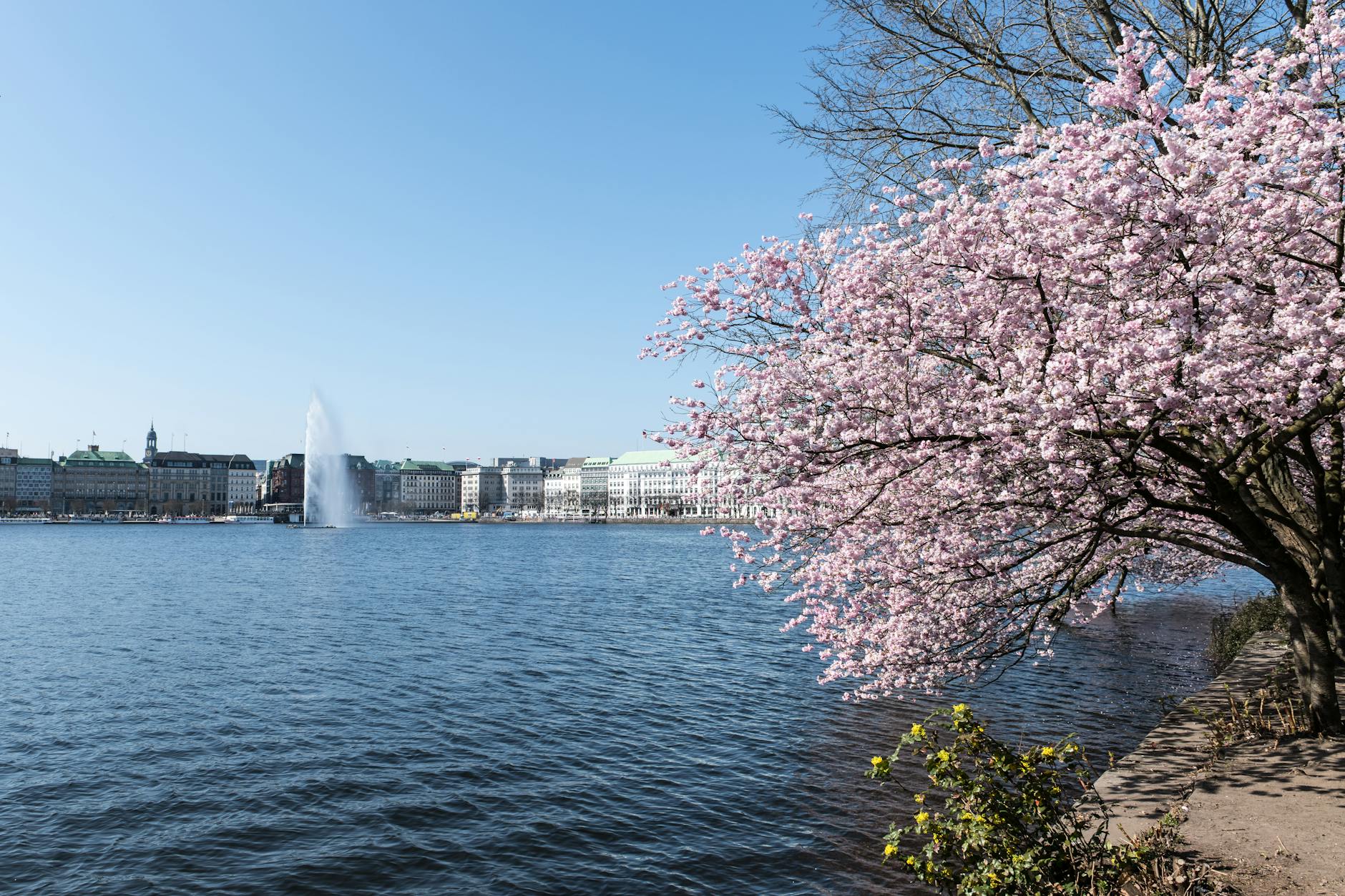 Bologna-Milan: formazioni ufficiali e scelte tattiche di Italiano e Allegri per il big match di S...