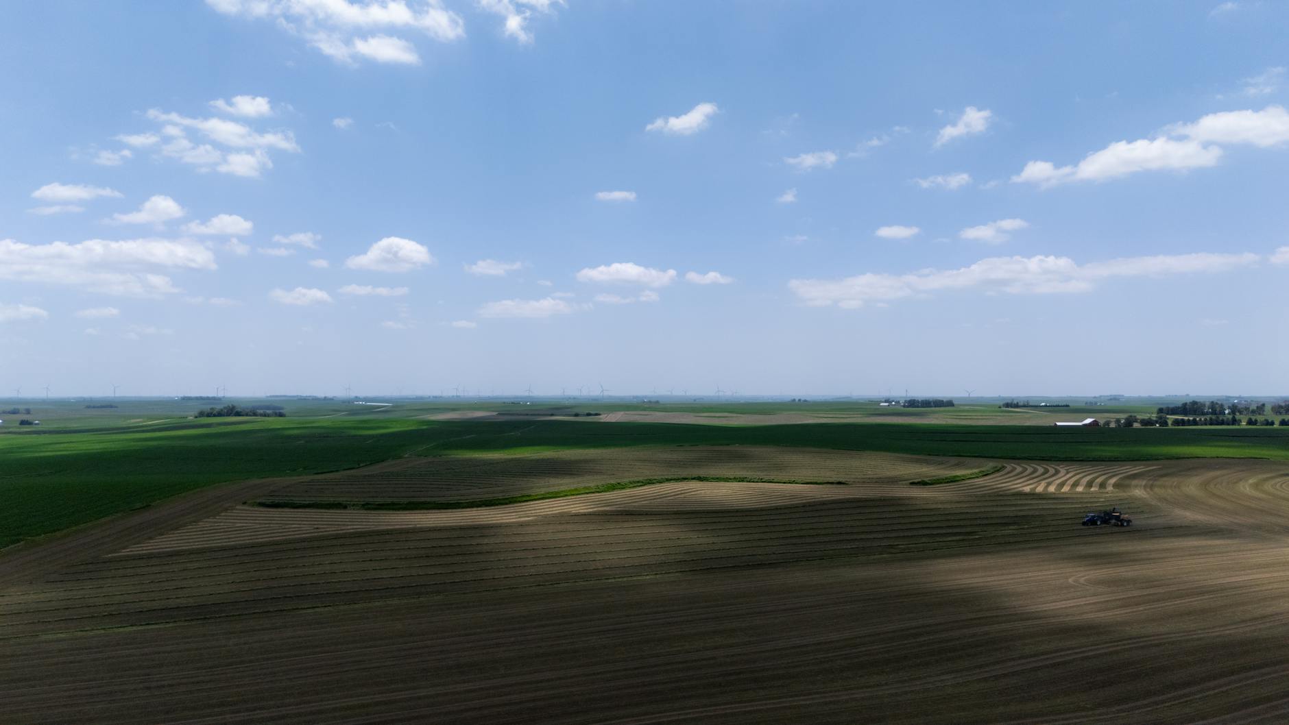 Bologna e Roma: rientri importanti per Italiano e Gasperini da un'infermeria in miglioramento